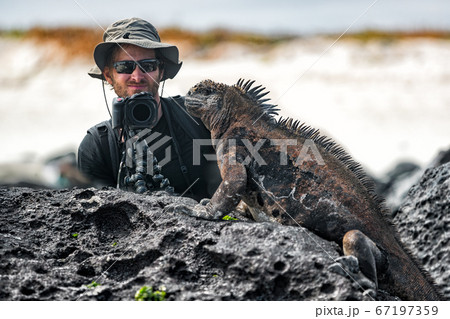 Galapagos Iguana and tourist nature wildlife photographer taking picture 67197359