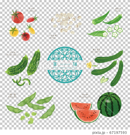 夏季藥物/成分的手繪插圖-1 夏季藥物/成分的手繪插圖-1 67197593