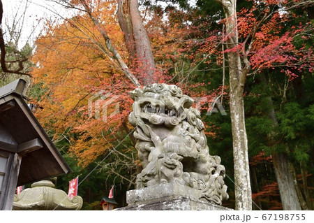南湖神社 狛犬 南湖神社 狛犬 67198755