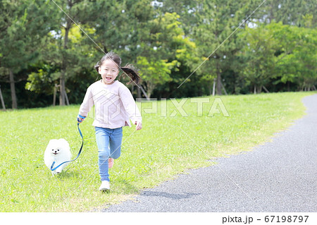 公園で女の子が愛犬ポメラニアンと散歩 67198797