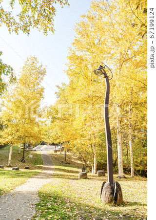 石山緑地 札幌市 石山緑地 札幌市 67199124