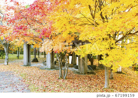 石山緑地 札幌市 石山緑地 札幌市 67199159