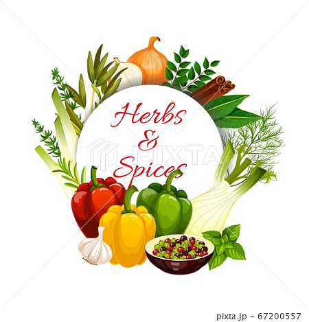 Spices, herbs, food seasonings and condiments Spices, herbs, food seasonings and condiments 67200557