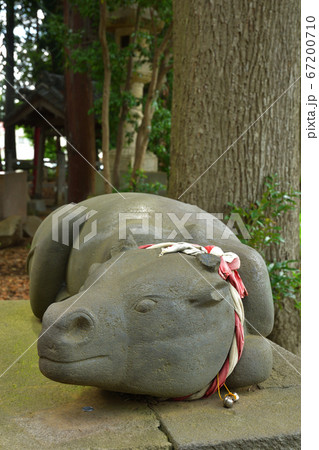 見沼田圃:蓮沼・菅原神社 見沼田圃:蓮沼・菅原神社 67200710