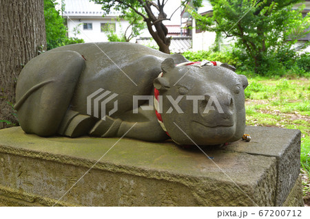 見沼田圃:蓮沼・菅原神社 見沼田圃:蓮沼・菅原神社 67200712