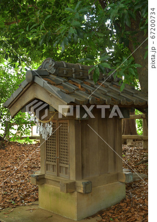 見沼田圃:蓮沼・菅原神社 見沼田圃:蓮沼・菅原神社 67200734