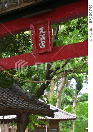 見沼田圃:蓮沼・菅原神社 見沼田圃:蓮沼・菅原神社 67200744