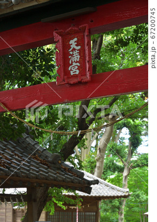 見沼田圃:蓮沼・菅原神社 見沼田圃:蓮沼・菅原神社 67200745