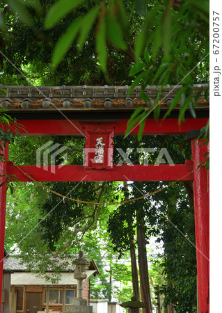 見沼田圃：蓮沼・菅原神社 67200757