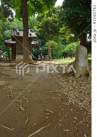 見沼田圃:蓮沼・菅原神社 見沼田圃:蓮沼・菅原神社 67200765