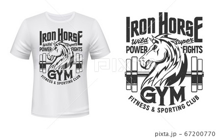 Horse stallion mascot of gym and fitness club Horse stallion mascot of gym and fitness club 67200770