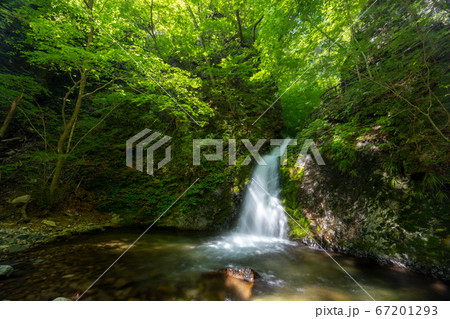 栃木県　那須塩原市の風挙の滝 67201293