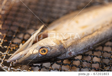 カマスの干物_炭火焼きBBQ・bbq・炭火焼・網焼・備長炭・七輪・キャンプ・食事 カマスの干物_炭火焼きBBQ・bbq・炭火焼・網焼・備長炭・七輪・キャンプ・食事 67201803