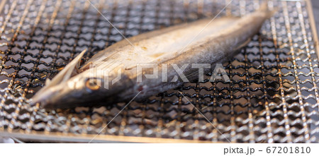 カマスの干物_炭火焼きBBQ・bbq・炭火焼・網焼・備長炭・七輪・キャンプ・食事 カマスの干物_炭火焼きBBQ・bbq・炭火焼・網焼・備長炭・七輪・キャンプ・食事 67201810