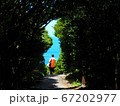 夏 旅行 人物 67202977