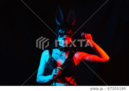 portrait of sexy girl dominatrix masked Bunny in leather harness with whip 67203190