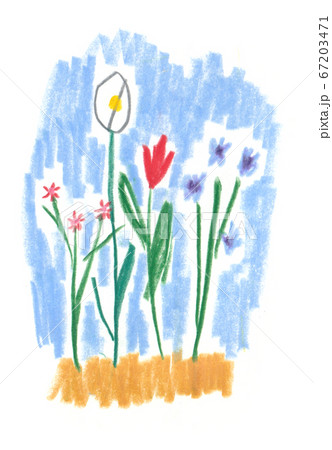 色鉛筆で描いた花 67203471