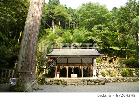 万葉の気配を感じる『桜木神社』 67204248
