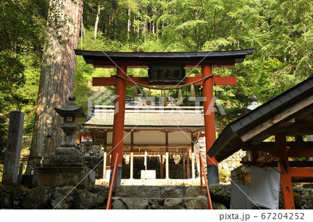 万葉の気配を感じる『桜木神社』 67204252