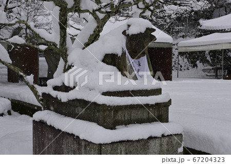 虚空蔵法輪寺 狛牛の雪景色 虚空蔵法輪寺 狛牛の雪景色 67204323
