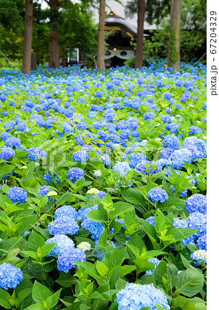 死ぬまでに行きたい絶景　秋田県雲昌寺 67204329