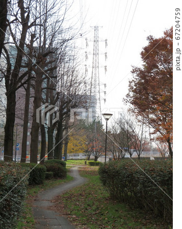 新横浜 散歩道 新横浜 散歩道 67204759