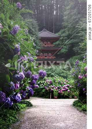 梅雨の岩船寺 67205706