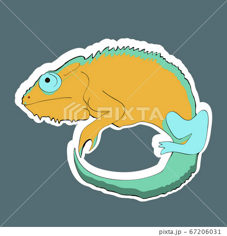 Reptile cartoon illustration. Chameleon sticker. 67206031