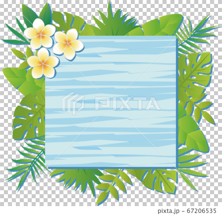 夏 植物 花 フレーム ナチュラル 木目 水色 コピースペースのイラスト素材
