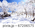 荒島岳の霧氷 67206575
