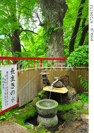 塩原温泉 源三窟の長生きの水 塩原温泉 源三窟の長生きの水 67206752