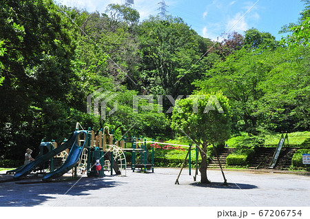 神奈川県藤沢市 新林公園冒険広場の遊具と新緑の写真素材