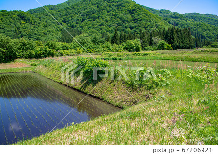 大源山麓の旭原付近から春山の景色　　新潟県 67206921