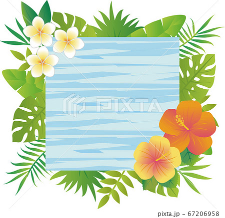 夏 植物 花 ナチュラル フレーム 飾り枠 木目 水色 正方形 コピースペースのイラスト素材