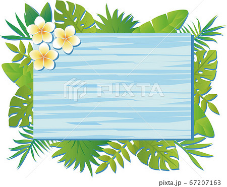 夏 植物 花 ナチュラル フレーム 飾り枠 木目 水色 長方形 コピースペースのイラスト素材