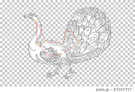 88星座影あり白くじゃく座 88星座影あり白くじゃく座 67207357