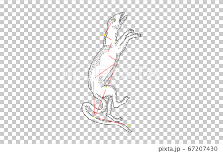 88 constellation with shadow White Libra 88 constellation with shadow White Libra 67207430