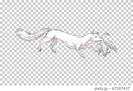 88 Constellation with shadow White fox 88 Constellation with shadow White fox 67207437