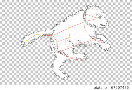 88星座影あり白おおぐま座 67207486