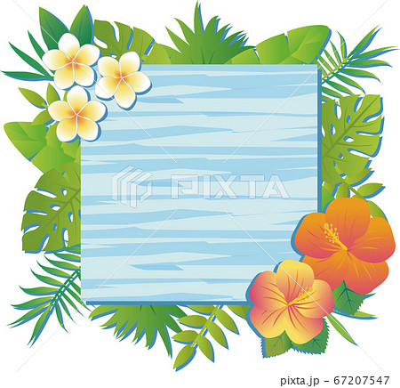 夏 植物 花 ナチュラル フレーム 飾り枠 木目 水色 正方形 コピースペースのイラスト素材