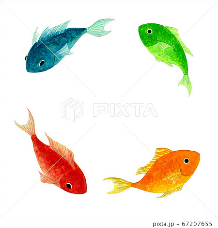 魚 水彩4色のイラスト素材