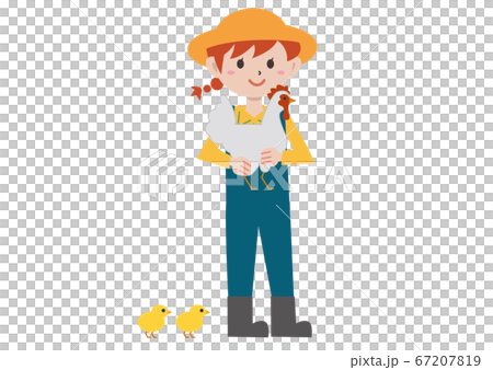 Poultry chicken female illustration 67207819