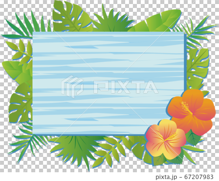 Summer plants flowers natural frame wood grain light blue rectangle copy space 67207983