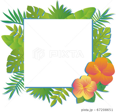 夏 植物 花 ナチュラル フレーム コピースペース 正方形 白のイラスト素材
