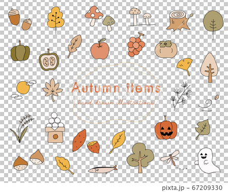 Autumn hand drawn illustration set / Autumn of appetite / Pumpkin / Halloween Autumn hand drawn illustration set / Autumn of appetite / Pumpkin / Halloween 67209330