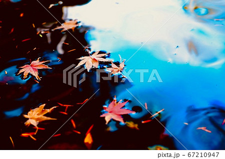 雲場池に映った晚秋 67210947