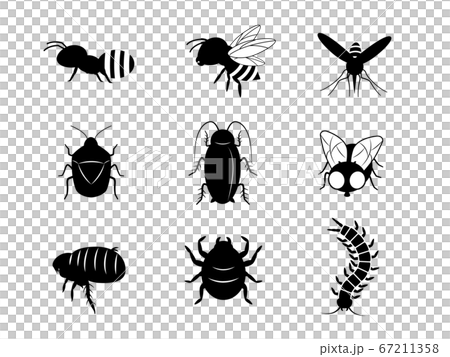Illustration set of pest silhouettes 67211358