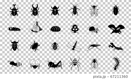 色々な昆虫のシルエットイラスト 色々な昆虫のシルエットイラスト 67211360