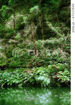 kamenice river from the small ship 67213688