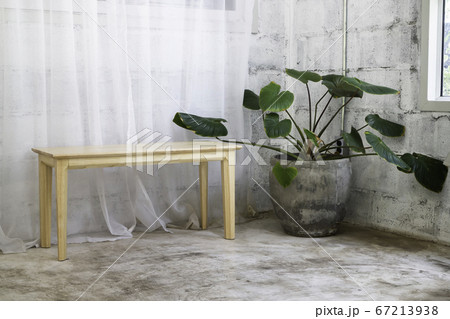 Interior green leaves plant pot 67213938